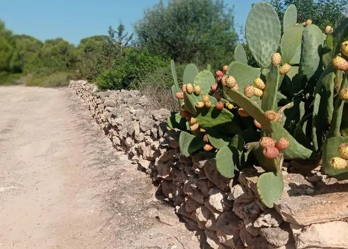 Estudio Cala Saona