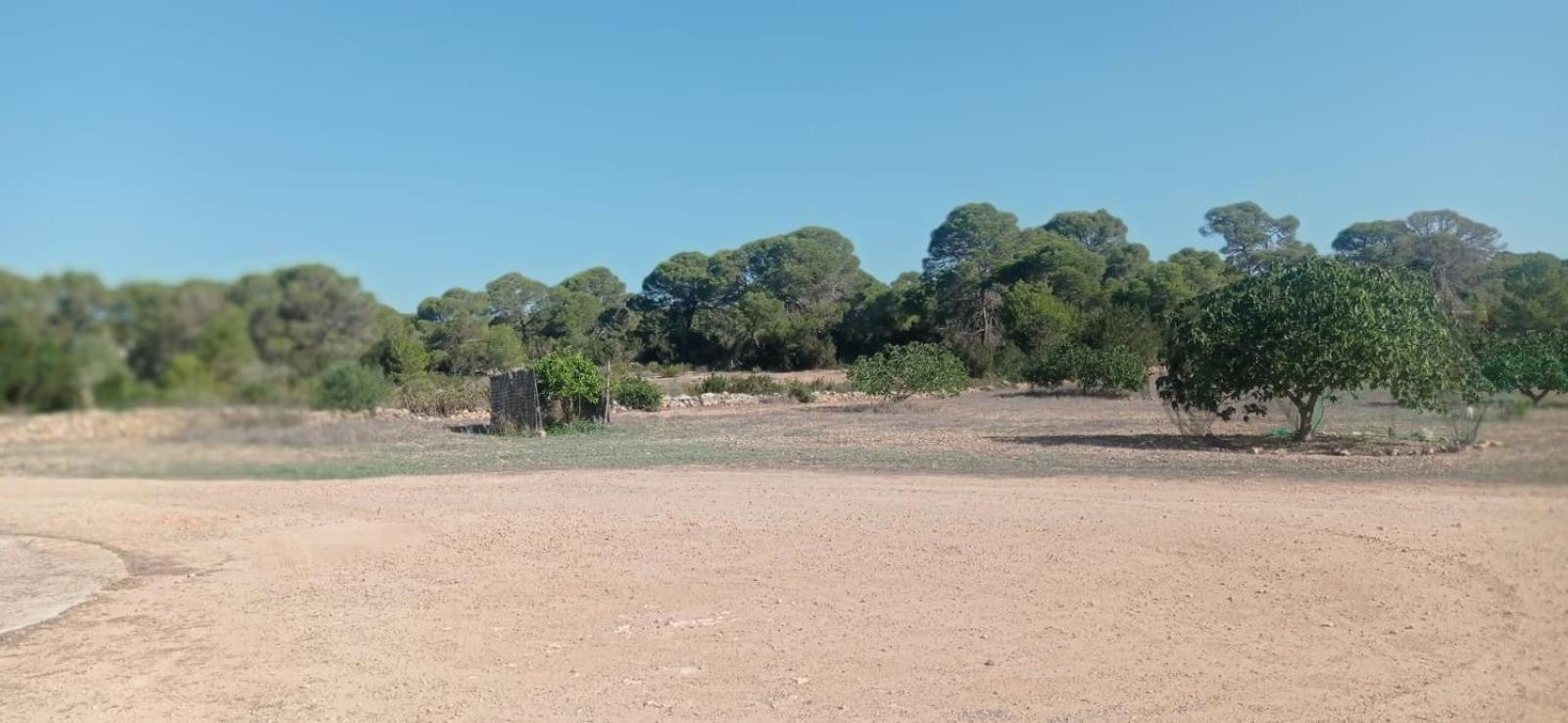 Estudio Cala Saona